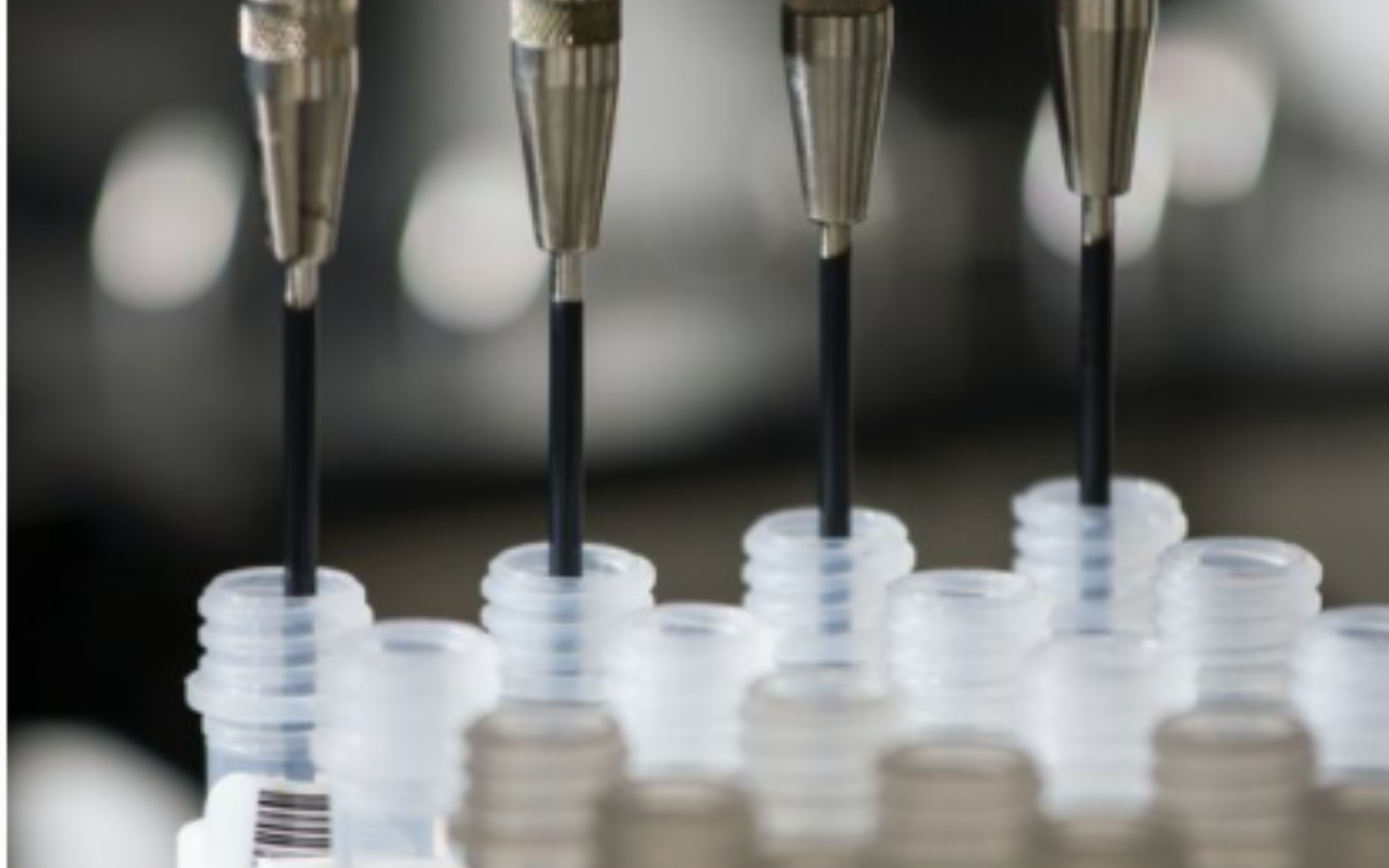 Microbes in the Beer Quality Report 2017 CosmosID