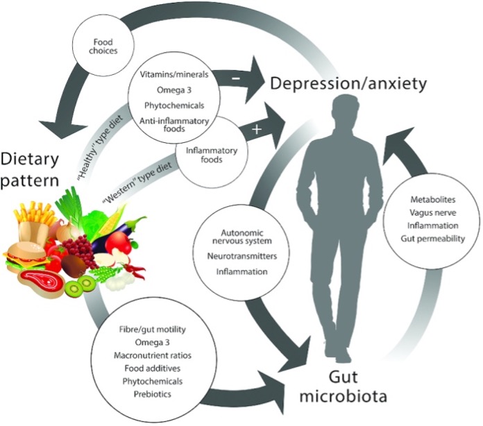 The Link Between the Gut Microbiome and Mental Health CosmosID