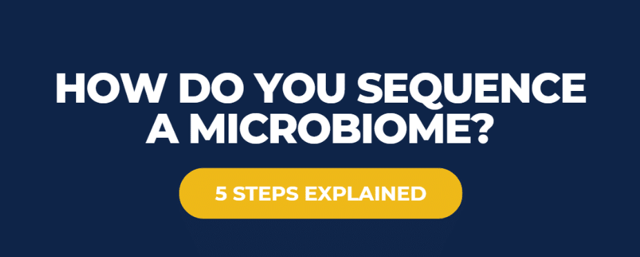 How Do You Sequence a Microbiome? 5 Steps Explained