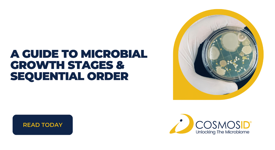 A Guide To Microbial Growth Stages & Sequential Order